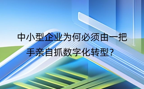 為什么中小型企業數字化轉型必須一把手親自抓